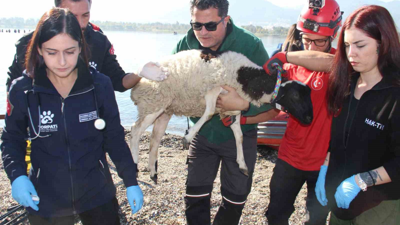 AFAD'dan İzmir'de gerçekçi sel tatbikatı