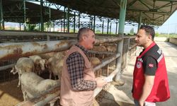 Manisa hayvan pazarında bayram öncesi denetim!