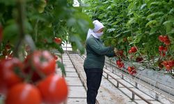 Başkan Kındap: Türkiye, bugün itibarıyla sadece 7 bin dönüm jeotermal seraya sahip
