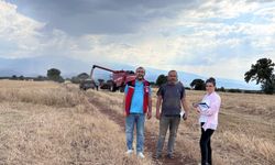 Manisa'da biçerdöverler artık takip edilecek