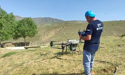 Manisa'da çekirgeyle mücadele için ilaçlama yapıldı