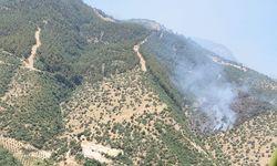 Manisa'daki orman yangını söndürüldü