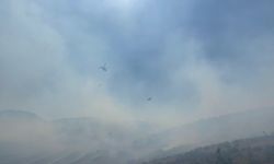 Manisa'da ormanlık alanda yangın