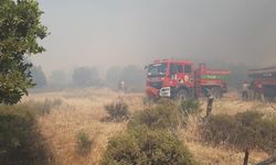 Çanakkale’de tarım arazisinde yangın: Havadan ve karadan müdahale ediliyor!