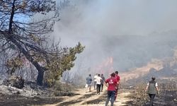Soma'da semaver ateşinden yangın çıktı!