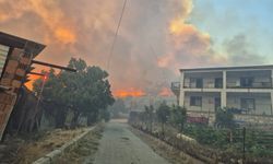 İzmir’deki orman yangınında son durum