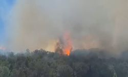 Orman yangını köydeki evlere sıçradı... Mahalleli gözyaşları içinde tahliye edildi