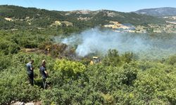 Manisa’da enerji nakil hattında yangın... Ormanlık alana sıçradı!