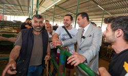 Başkan Zeyrek'ten Canlı Hayvan Borsası’na ziyaret!