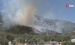 Bodrum’da orman yangını çıktı!