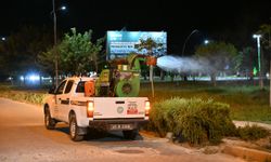 Manisa'da Keneye ve Haşerelere karşı mücadele sürüyor