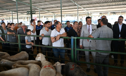 Başkan Zeyrek, Canlı Hayvan Borsası’nı ziyaret etti
