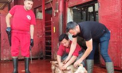 Manisa'da kurban kesimini uygulamalı öğrendiler