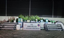 İzmir’de operasyon: 183 kök ele geçirildi