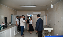 Sokak Hayvanları Komisyonu iki ilçede incelemelerde bulundu