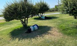 İzmir'de sıcak hava alarmı... Vatandaşlar gölgelere akın etti!