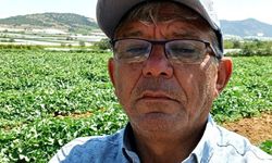 Sarıgöl'de bağda tikiyle karşılaştı, o anları anlattı