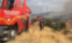Gördes'te zirai alanda yangın başladı