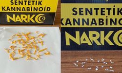 Manisa'da torbacı operasyonu!