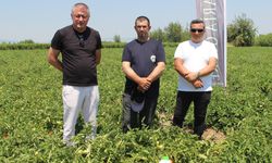 Manisalı üretici hem hastalıklardan kurtuldu hem verimi artırdı