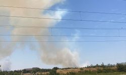 Son dakika... Saruhanlı'da orman yangını!