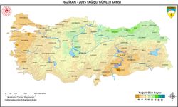 Manisa'da yüzde 80 azaldı!