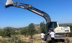 Yunusemre’de özel ağaçlandırma alanlarına bakım