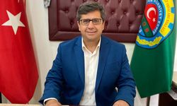 Zeytinyağı fiyatlarında yükseliş
