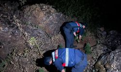Manisa'da 167 kök Hint keneviri ele geçirildi