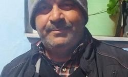 Domuz sürüsüne çarpan motosiklet sürücüsü hayatını kaybetti!