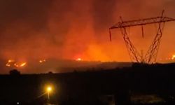 Manisa'daki orman yangınına müdahale devam ediyor