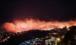 İzmir'de otluk alandaki yangın evlere sıçradı