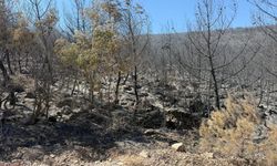 Soma yangınında 2 kişi tutuklandı