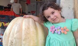 Görenler gözlerine inanamadı... Tam 85 kilo!