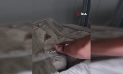 İzmir'de gıda operasyonu; bin 907 ton süt ve süt ürünü muhafaza altına alındı