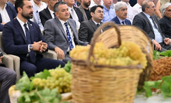 Sezonun ilk kuru üzümü 3 bin 500 TL’den satıldı