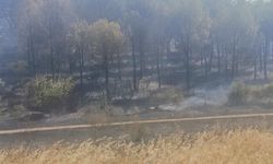Soma yangınında bir mahalle boşaltındı, bir kişi de gözaltına alındı