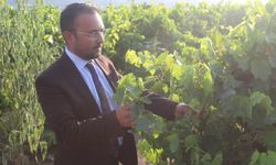 Başkan İksir: Üzüm üreticisini yok saydınız