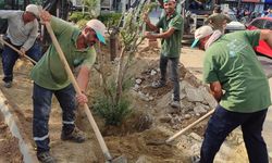 Manisa'da kuraklığa karşı estetik çözüm