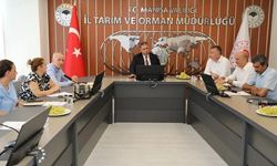 Manisa'da Üzüm Rekolte Tahmin Komisyonu toplandı
