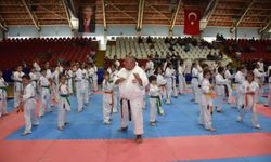 Manisa Emniyeti, sporu çocuklara sevdirmek için tatamiye çıktı