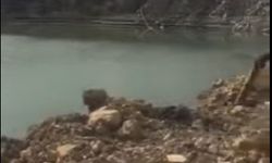 Başkan Özarı'dan su tepkisi!