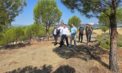 Manisa Saruhanlı'da hayvan bakım evi projesinde sona gelindi!