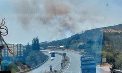 Manisa Kırkağaç'ta yangın!