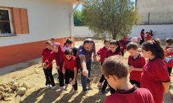 Okul bahçesinde fidan diktiler