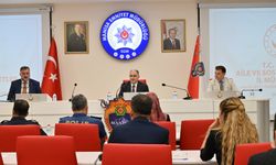 Kadına yönelik şiddetle mücadelede kararlılık