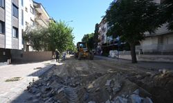 Seyrantepe Mahallesi'nde asfalt çalışması başlıyor