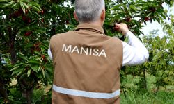 Manisa tarımda verimli bir dönem geçiriyor