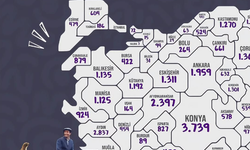 Haritada ortaya çıktı: Manisa’da bin 125 eşek var!