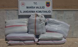Manisa'da kaçak tütün operasyonu! 350 kilogram kıyılmış açık tütün ele geçirildi
